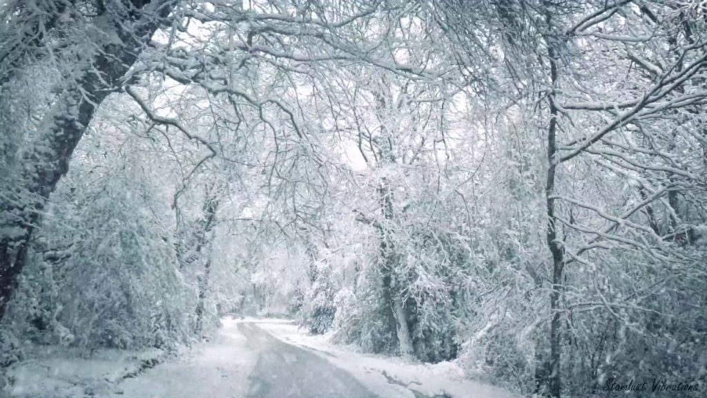 暴风雪